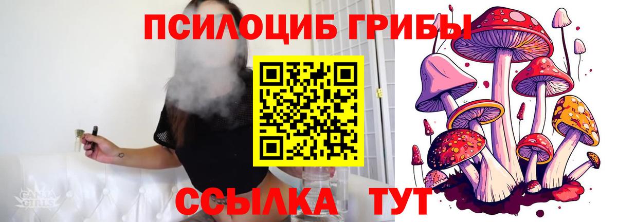 Псилоцибиновые грибы мухоморы  Псилоцибиновые грибы Psilocybine cubensis  Междуреченск  Вход с VPN 