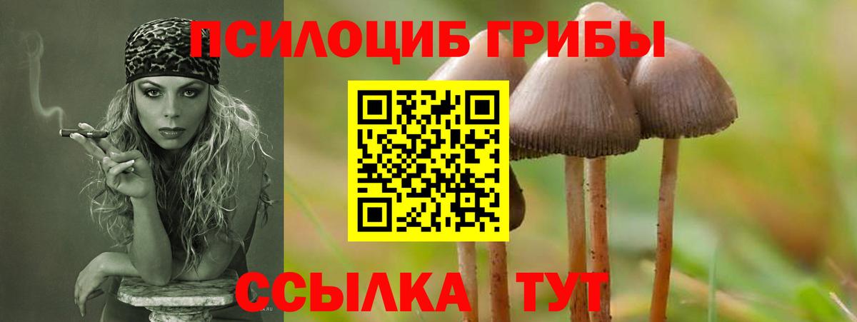 Псилоцибиновые грибы GOLDEN TEACHER Междуреченск